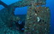 Cementco Dive Site - thumb 2