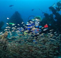 Aarhus Dive Site - Sunshine Coast Tourism