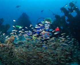Aarhus Dive Site - Sunshine Coast Tourism 0