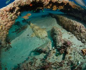 Aarhus Dive Site - Sunshine Coast Tourism 3