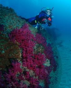 Aarhus Dive Site - Sunshine Coast Tourism 2