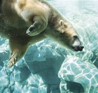 Australia's Sea World - Sunshine Coast Tourism