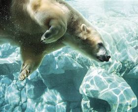 Australia's Sea World - Sunshine Coast Tourism 0