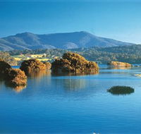Wagonga Picnic Area