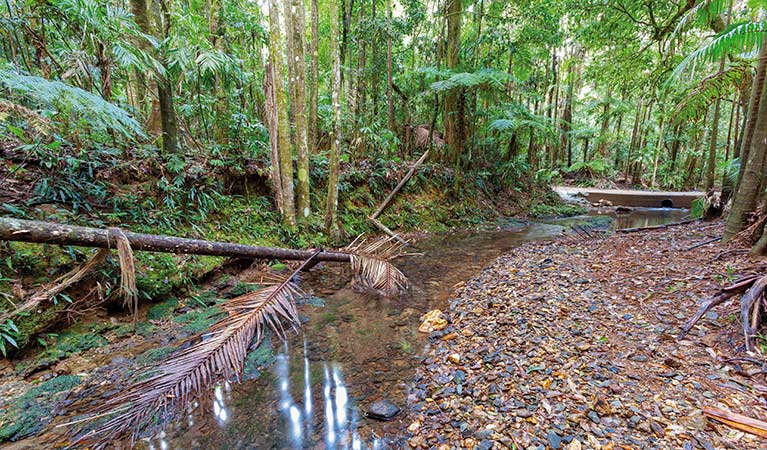 Karangi NSW Sunshine Coast Tourism