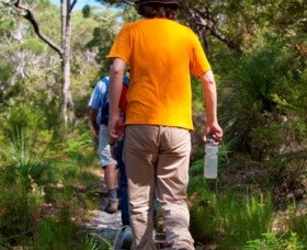 Naree Budjong Djara National Park - Sunshine Coast Tourism 3