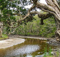 Saltwater National Park - Holiday Sunshine Coast