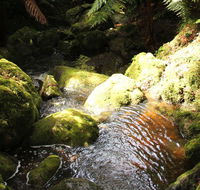 South East Forests National Park - Sunshine Coast Tourism