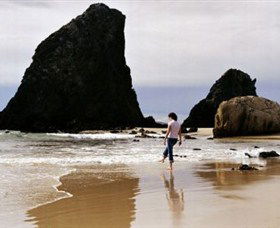 Glasshouse Rocks And Pillow Lava - Sunshine Coast Tourism 1