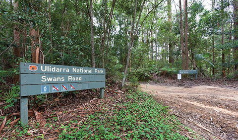 End Peak Walking Track - Sunshine Coast Tourism 1