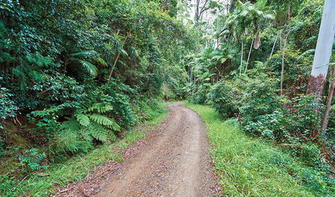 End Peak Walking Track - Sunshine Coast Tourism 2