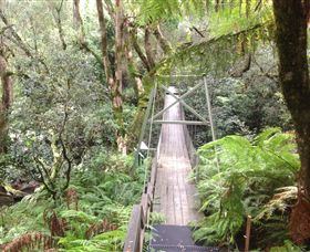 Bellbird Creek ACT Sunshine Coast Tourism