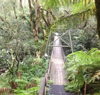 Bemm River Scenic Reserve - Sunshine Coast Tourism