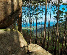 Mount Gulaga (Mount Dromedary) Walk - Sunshine Coast Tourism 0