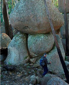 Mount Gulaga (Mount Dromedary) Walk - Sunshine Coast Tourism 1