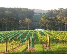 Bellbird Scenic Drive Tilba - Sunshine Coast Tourism 3