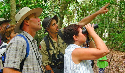 Falls Walking Track - Holiday Sunshine Coast 0