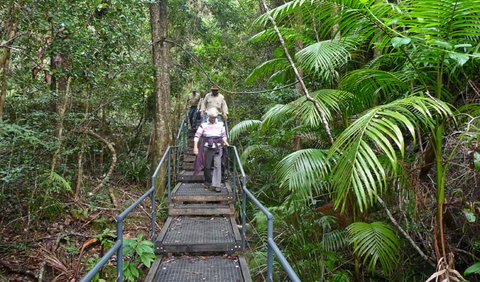 Falls Walking Track - Holiday Sunshine Coast 2