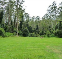 Kerewong State Forest - Sunshine Coast Tourism