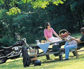 Victoria Park Nature Reserve - Sunshine Coast Tourism 2
