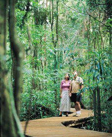 Victoria Park Nature Reserve - Sunshine Coast Tourism 1