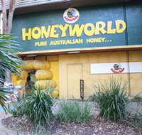 Superbee Honeyworld Gold Coast - Holiday Sunshine Coast