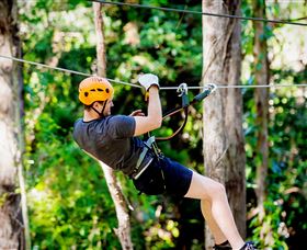 TreeTop Challenge Currumbin - Sunshine Coast Tourism 0