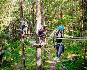 TreeTop Challenge Currumbin - Sunshine Coast Tourism 1