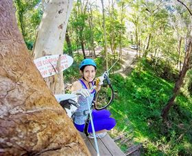 TreeTop Challenge Currumbin - Sunshine Coast Tourism 3