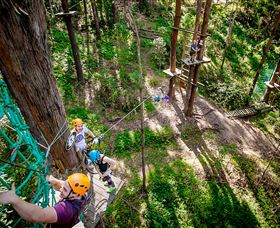 TreeTop Challenge Currumbin - Sunshine Coast Tourism 2