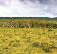 Yuraygir National Park