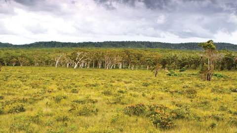 Yuraygir National Park - Holiday Sunshine Coast 0