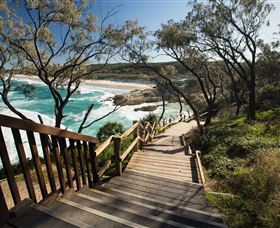 North Gorge Walk - Sunshine Coast Tourism 0