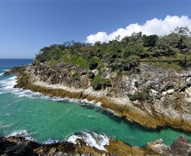 North Gorge Walk - Sunshine Coast Tourism 3