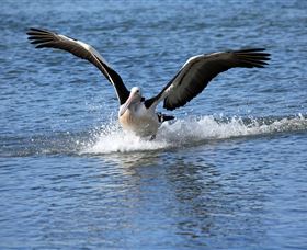 John Barton Photography - Sunshine Coast Tourism 1