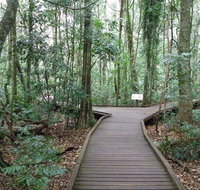 Victoria Park boardwalk - Sunshine Coast Tourism