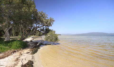 Booti Booti National Park - Holiday Sunshine Coast 1