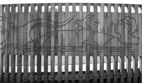 Muttonbird Island Outdoor Learning Space - Holiday Sunshine Coast 1