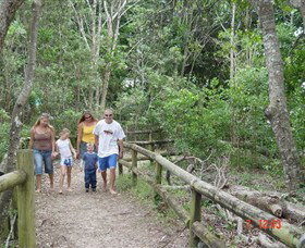 Chinamans Beach Evans Head - Sunshine Coast Tourism 3