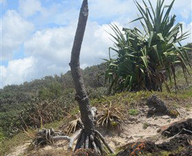 Chinamans Beach Evans Head - Sunshine Coast Tourism 2