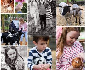 Roses Vineyard And Animal Farm - Sunshine Coast Tourism 1