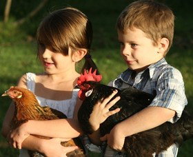 Summerland House Farm - House With No Steps - Holiday Sunshine Coast 2