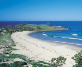Angourie Beach - Sunshine Coast Tourism 1