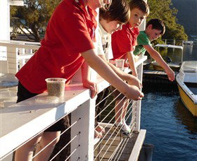 Dunbogan Boatshed - Sunshine Coast Tourism 3