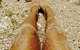 Bonny Hills Body And Beauty - thumb 2