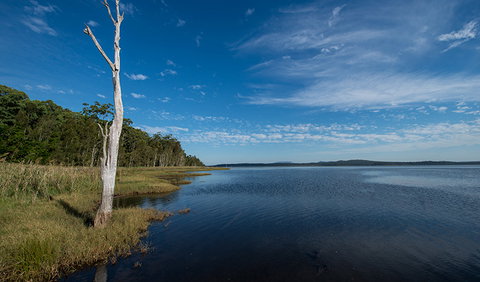 Lake Innes Nature Reserve - Holiday Sunshine Coast 0