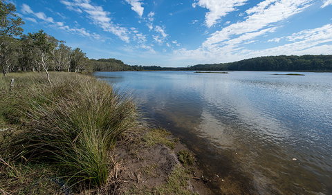 Lake Innes Nature Reserve - Holiday Sunshine Coast 1