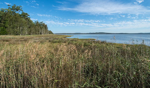 Lake Innes Nature Reserve - Holiday Sunshine Coast 3