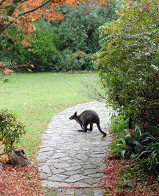 Narek Galleries - Sunshine Coast Tourism 2