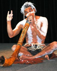 Dhinawan Dreaming - Holiday Sunshine Coast 0